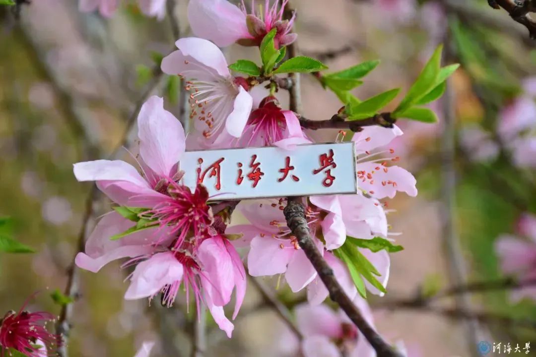 同饮一江水，共唱友谊歌！